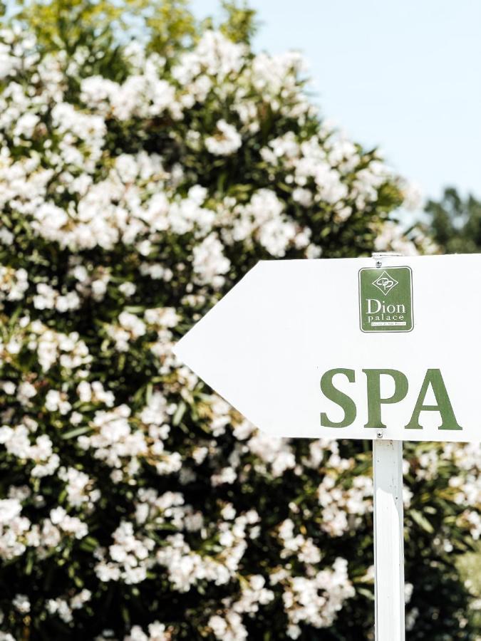 Dion Palace And Hotel 5*